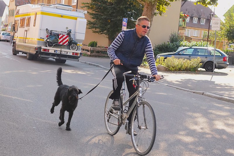 "Taking the dog for a morning run, Sep 2015" by Ed Yourdon is licensed under CC BY-NC-SA 2.0.