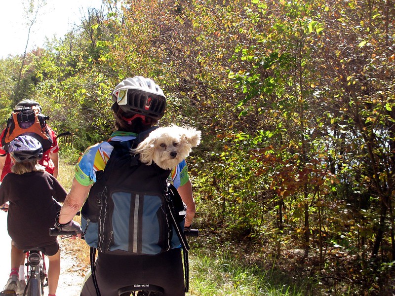 "Backpacking dog biking" by joneser005 is licensed under CC BY-NC-ND 2.0. To view a copy of this license, visit https://creativecommons.org/licenses/by-nc-nd/2.0/?ref=openverse.