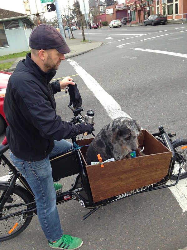 "Bleu the Bullitt Cargo Bike Dog" by wittco.gmbh is licensed under CC BY 2.0. To view a copy of this license, visit https://creativecommons.org/licenses/by/2.0/?ref=openverse.