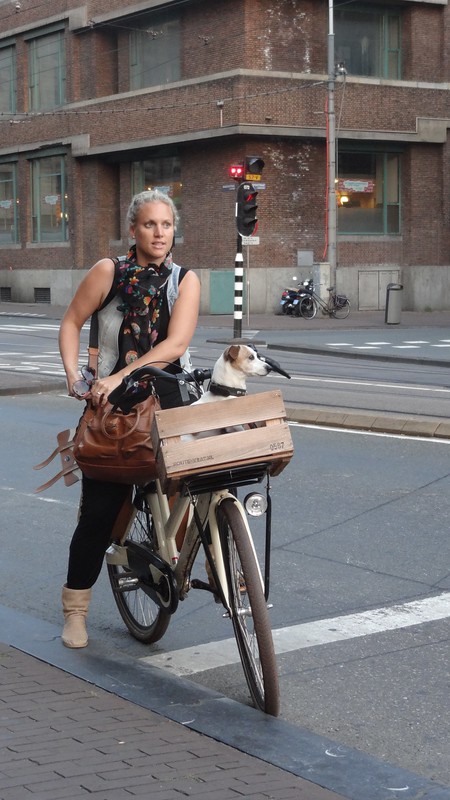 Illustration of a dog in the basket
"Dog in Bike Basket" by m.gifford is licensed under CC BY-NC-SA 2.0. To view a copy of this license, visit https://creativecommons.org/licenses/by-nc-sa/2.0/?ref=openverse.